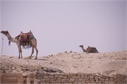 1212__Luxor_a