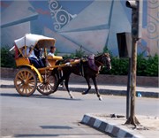 1246__Luxor_a