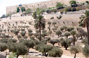 2085_JerusalemA