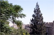 2166_JerusalemA