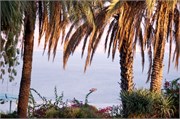 2579_Galilee_A