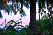 2592_Galilee_A