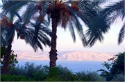 2595_Galilee_A