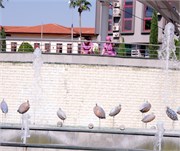 3834_Antalya_A