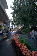 4293_Bodrum_B