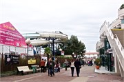 7580_Sochi_A