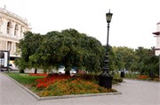 8486_Odessa_A