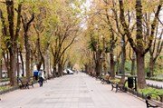 8504_Odessa_A
