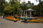 8568_Odessa_B