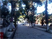8725_Dikili_ST