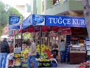 8778_Dikili_C