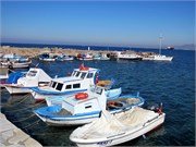 8823_Dikili_C