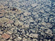 8844_Dikili_C