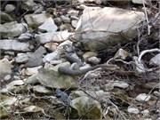 05202011_ElkhornR_18