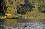 06032011_Danube_Braveria_a9