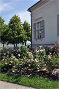 06052011_Melk_Abbey_b197