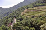 0605201_Wachau_Valley_a41