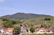 0605201_Wachau_Valley_a66