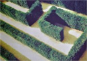 06062011_Schonbrunn_a25