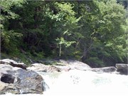 P7070076