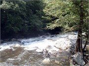 07282011_Hugh_P7260007