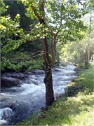 07282011_Hugh_P7260097