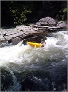 07282011_Tim_P7286250