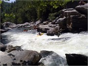 07282011_Tim_P7286253