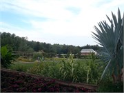 07302011_MichaelWSmith_10