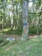 30_Upper_Yough