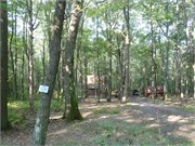 31_Upper_Yough