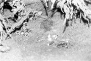 Lionel_BW20012