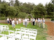 45_WeddingDH
