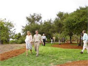 50_WeddingDH