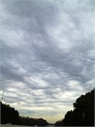 35452_Nashville
