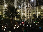 IMG_0461