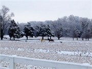 35379_Louisville