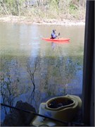 24381_Elkhorn