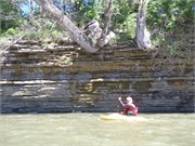 24394_Elkhorn