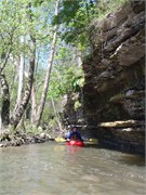 24398_Elkhorn