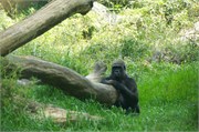 25434_Asheboro