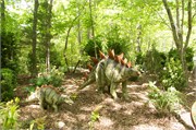25437_Asheboro