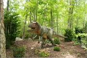 25438_Asheboro