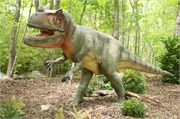 25439_Asheboro