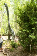 25440_Asheboro