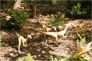 25444_Asheboro