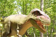 25450_Asheboro