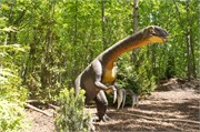 25454_Asheboro