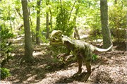 25457_Asheboro