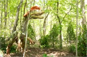 25460_Asheboro